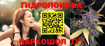 мет Будённовск